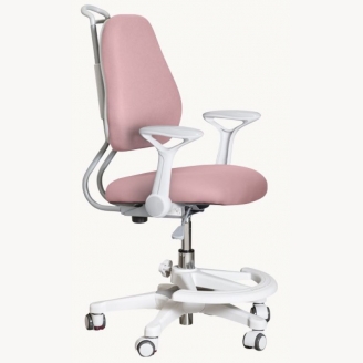 Детское кресло Evo-Kids Mio Ergo Y-507