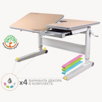 Детская парта Mealux RichWood Multicolor BD-840